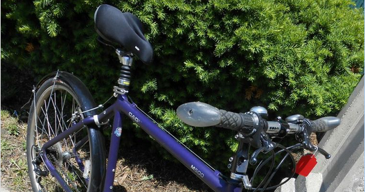 cannondale m500 purple