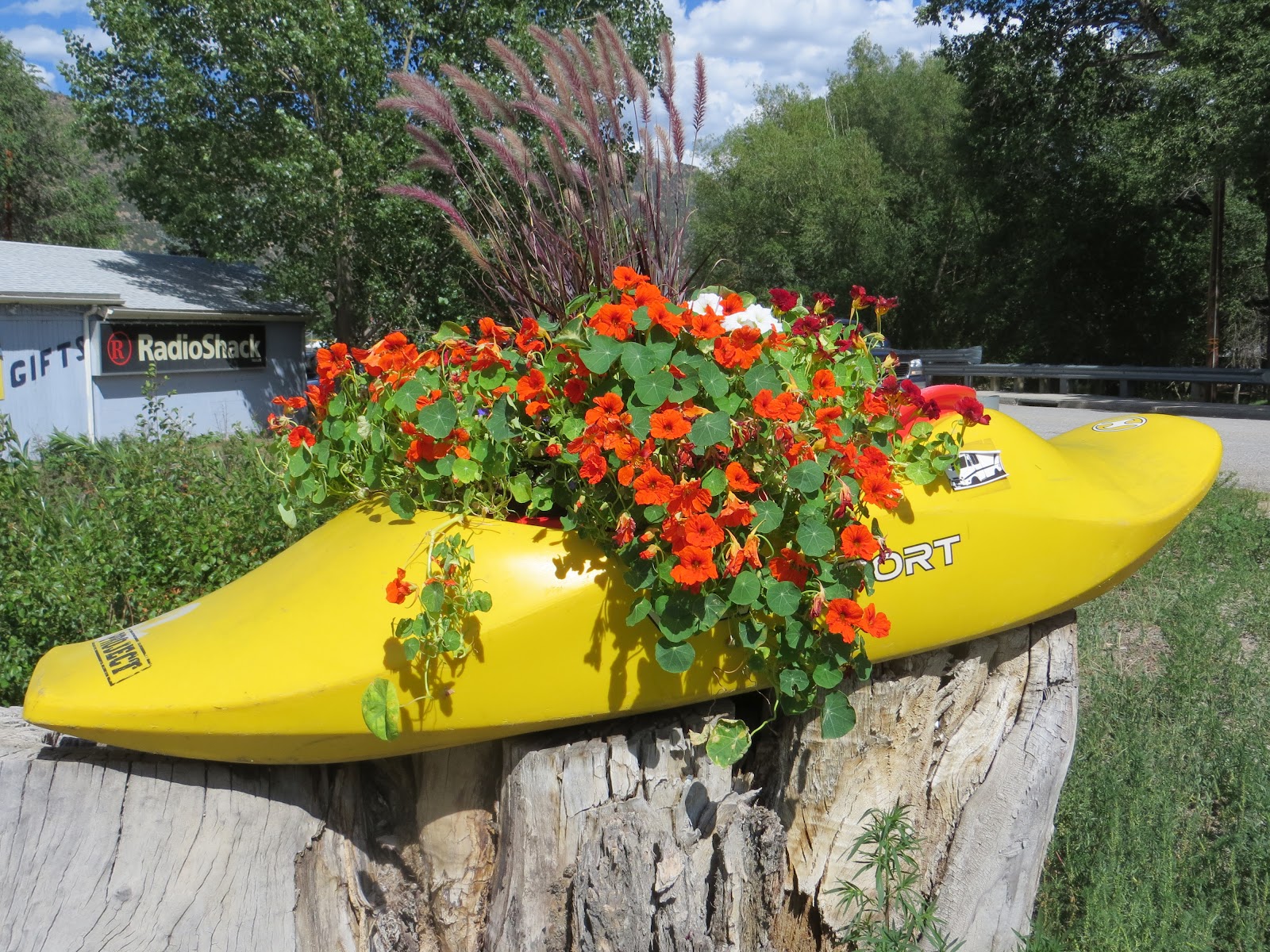 Marpeg CENTRAL COLORADO, BUENA VISTA