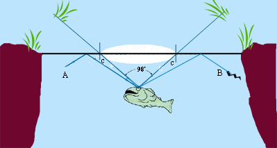 shop An Accidental Brexit New Eu and