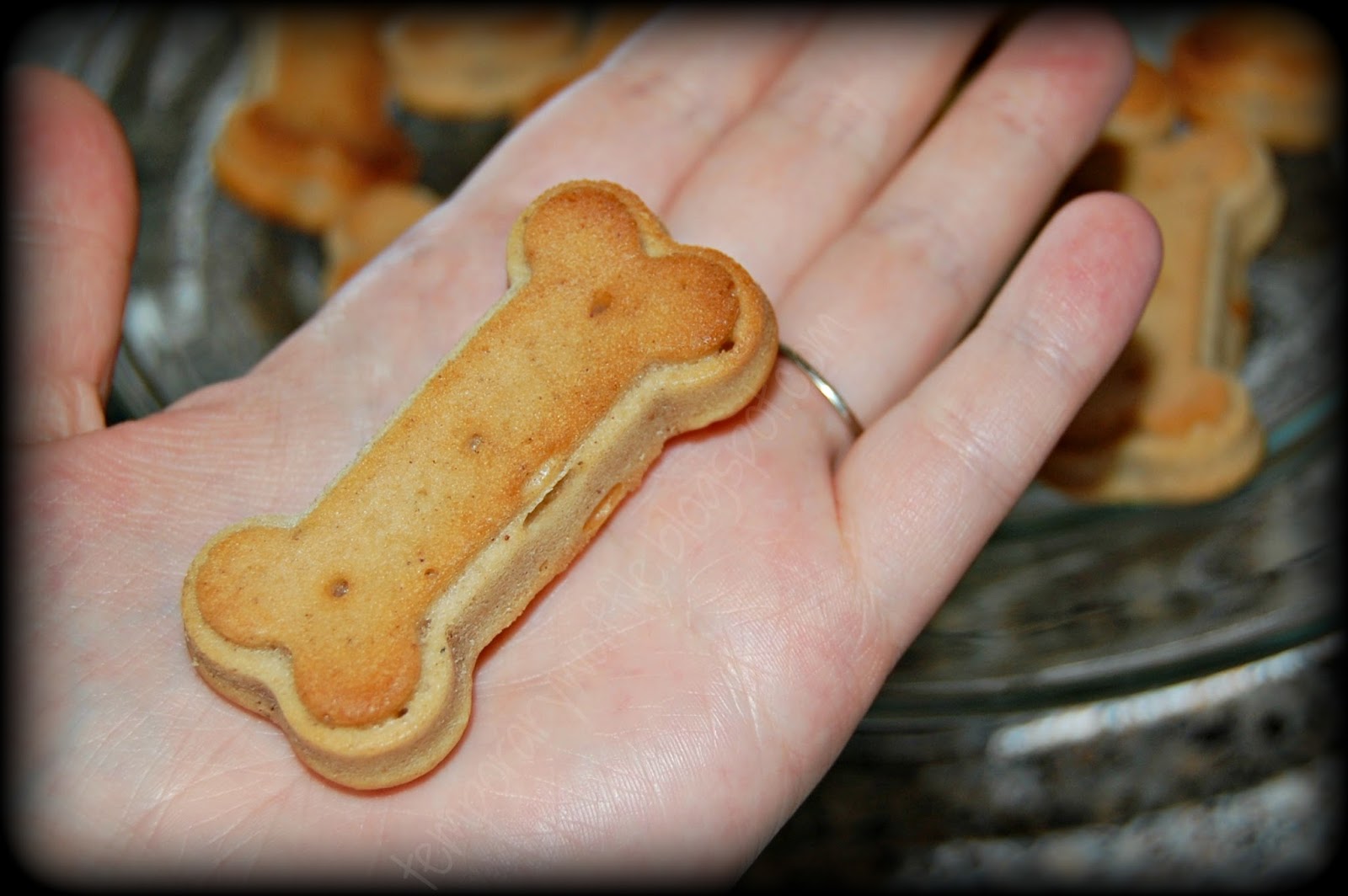 Can Dog Treats Make Dog Pee More Can Dog Treats Make Dog Pee More