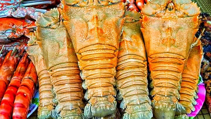 Visual Diary Udang Kara Udang Ketak Crayfish Best Nih