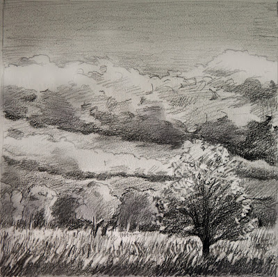 Katherine Kean, drawing, graphite atmospheric, Scotland, trees, field