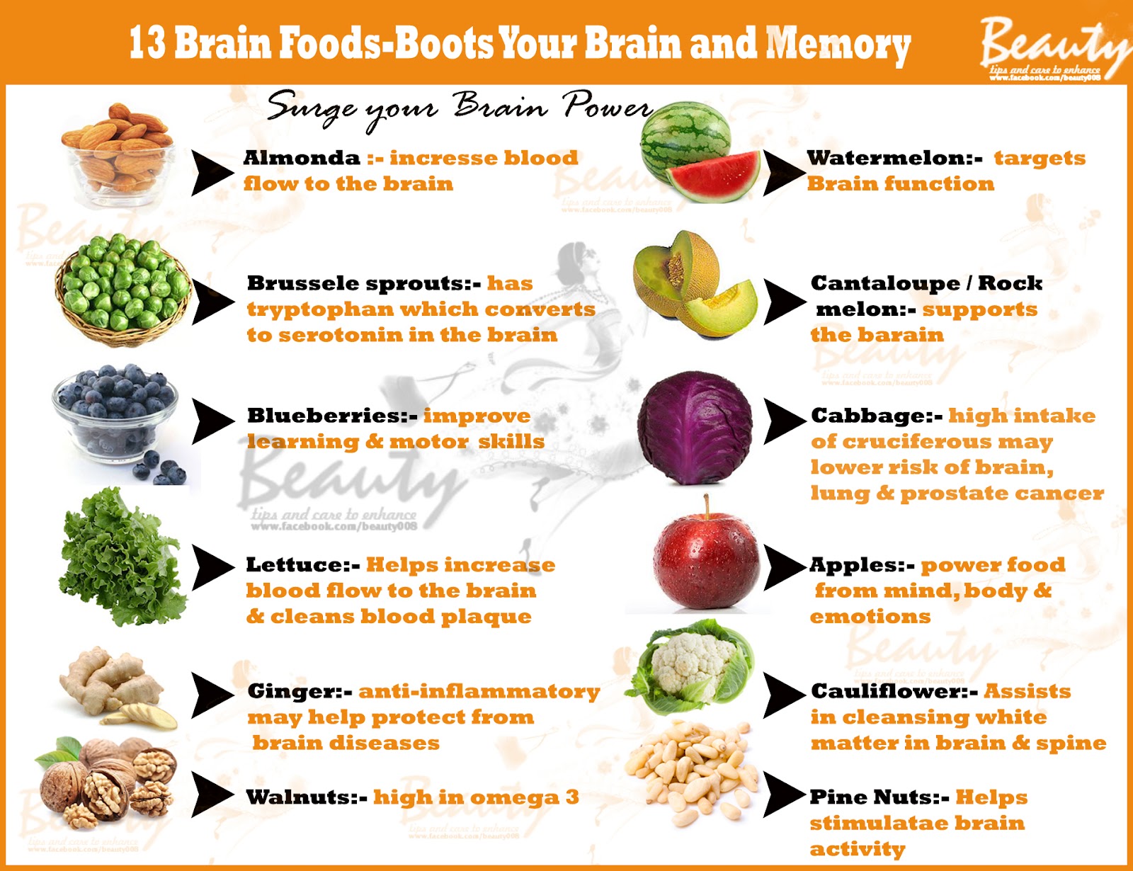 Power Foods for the Brain - Alzheimersnet