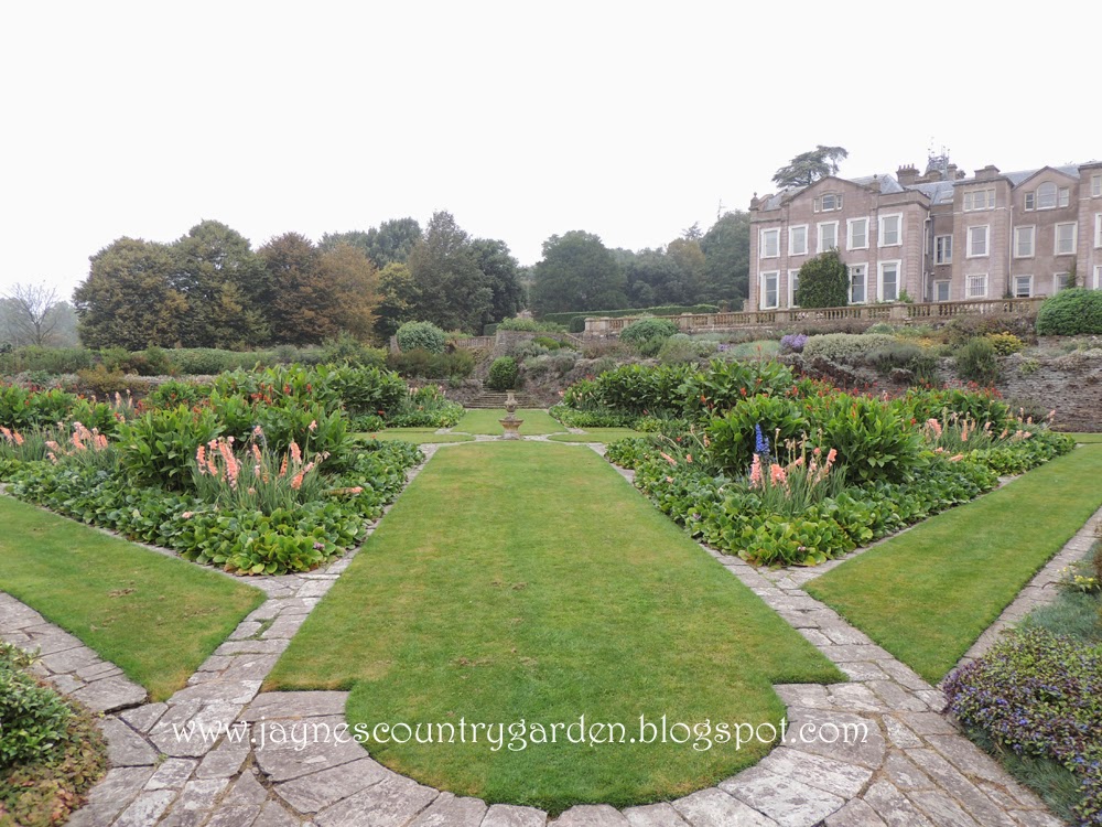 Jayne's Country Garden The Somerset Gardens at