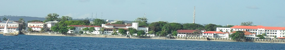 Zanzibar Yetu