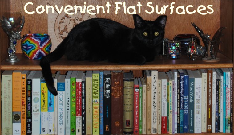 Convenient Flat Surfaces