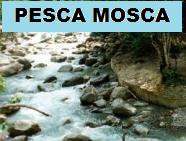 Pesca Mosca