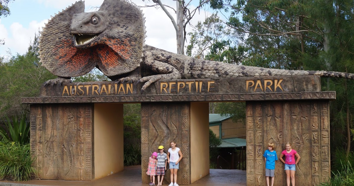 The Adventures of Special Doggy Australian Reptile Park Somersby NSW