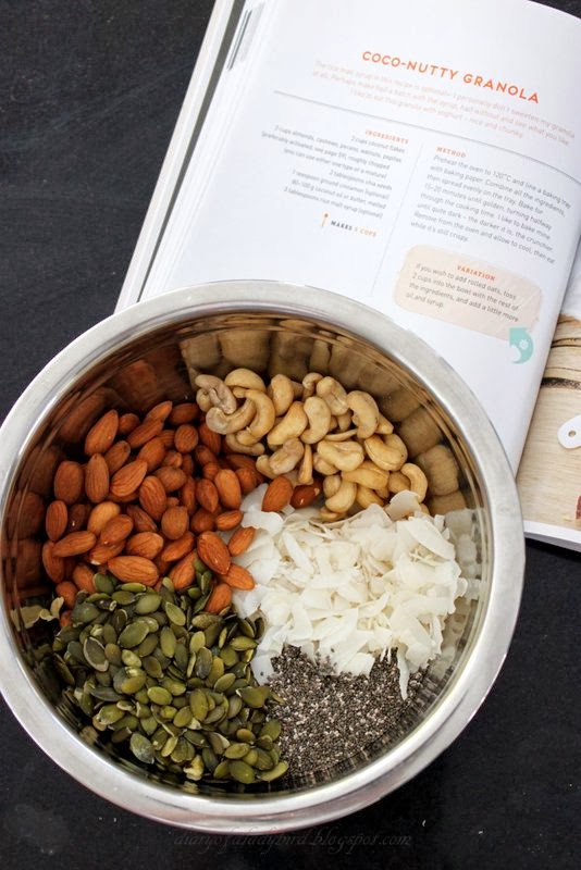 Diary of a Ladybird Coconutty Granola