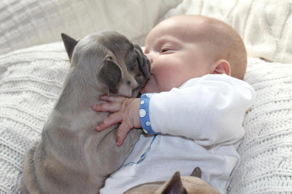 Kids baby pictures: cute baby sleeping with puppies