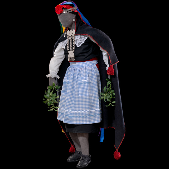 The Plumed Conch: Araucanian Mapuche Indians of Chile The Plumed Conch: Araucanian Mapuche Indians of Chile