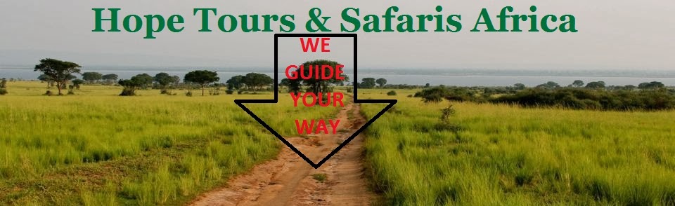 Hope Tours  Safaris Africa