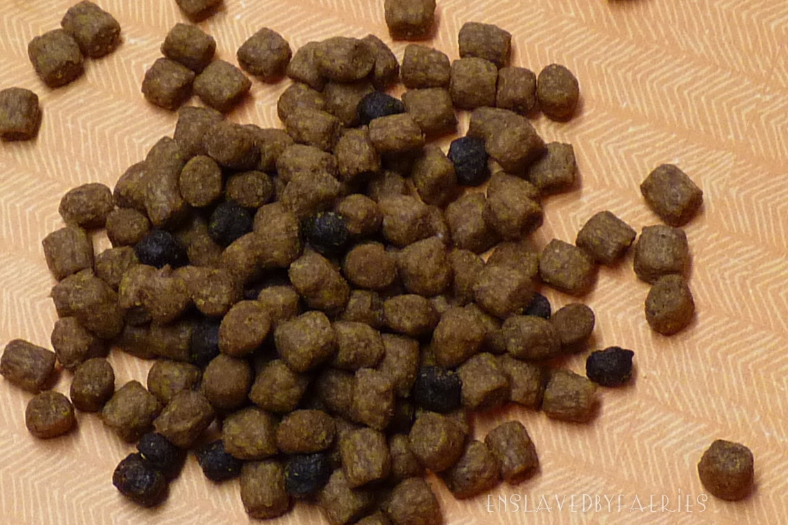 Prickle Pets Hungry Hungry Hedgehog Cat Food Mix