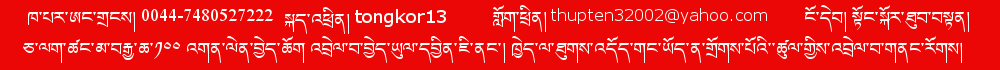 སྟོང་སྐོར་ཐུབ་བསྟན།