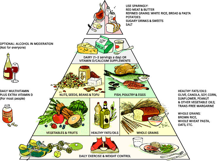 diet diagram