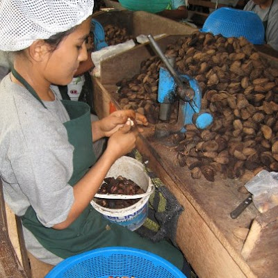 Descubre el comercio justo de The Body Shop Silvia Quiros SQ Beauty Descubre el comercio justo de The Body Shop Silvia Quiros SQ Beauty