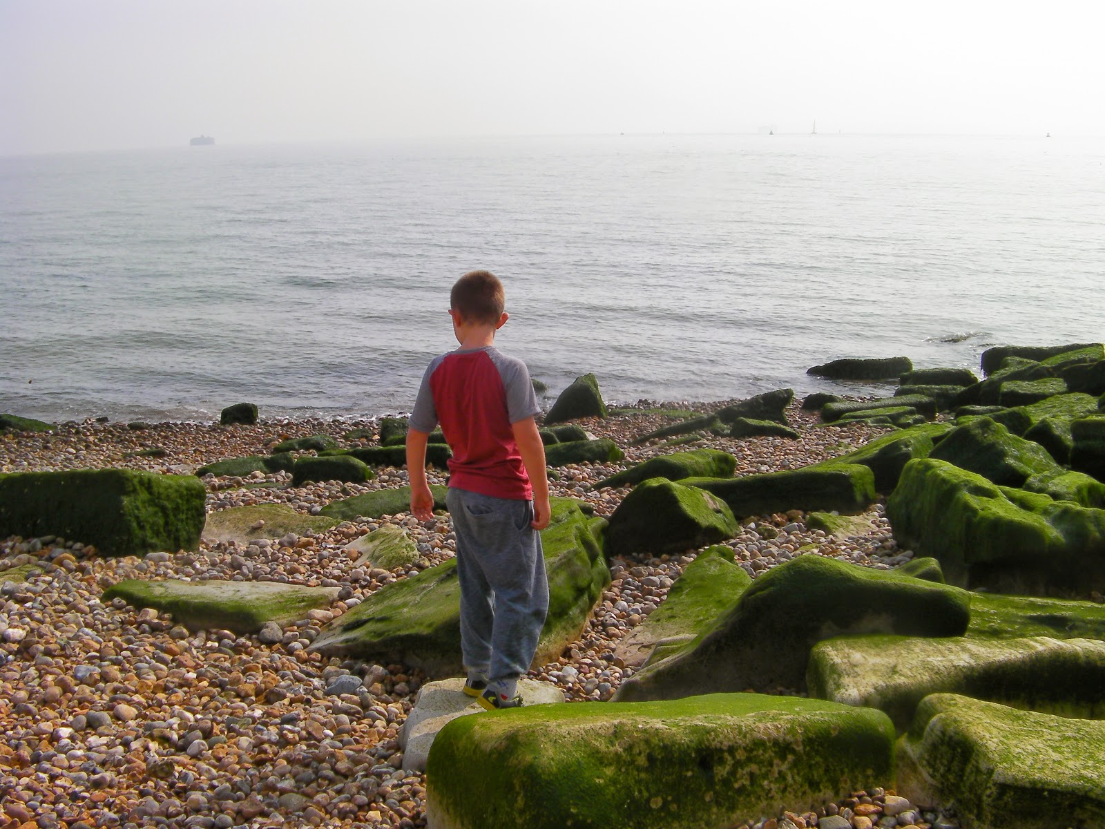 rocks covered in seaweed on shingle beach southsea seafront