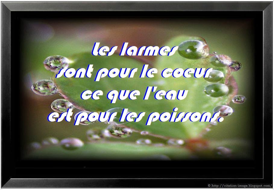 Drunkethic Citation larmes Drunkethic Citation larmes