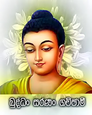 Bildergebnis für புத்த பிக்குகள்