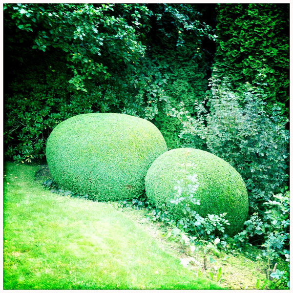eva im garten lustvoll gärtnern der garten der doschkas