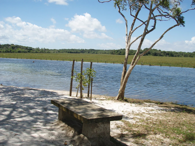 CURIAÚ EM MACAPÁ