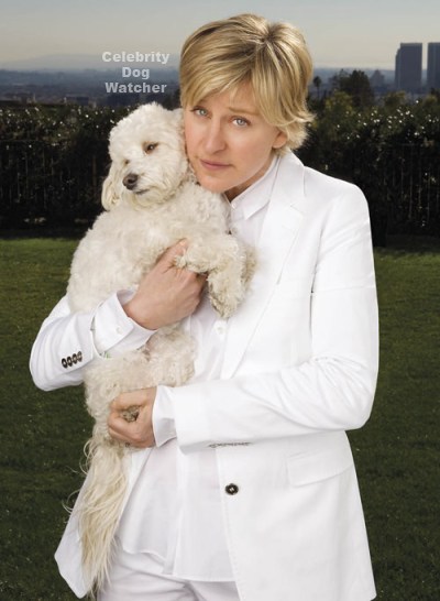 ellen degeneres images photos