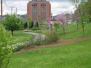 South university South university