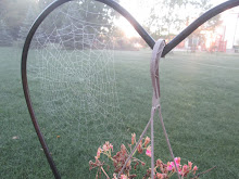 Spider Web