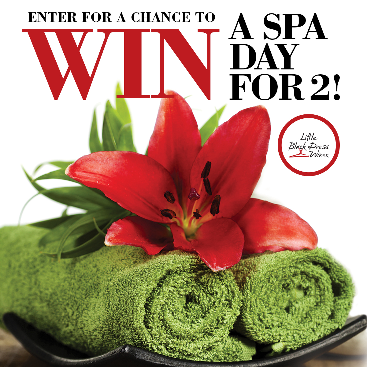 Shoes N Booze Your Chance to Win Little Black Dress Wines Sweepstakes