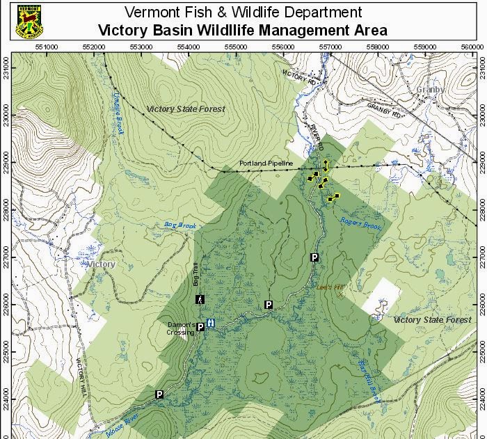 1HappyHiker Chickadee Surprise at Victory Basin Wildlife Management