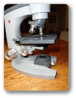 A scientist's microscope