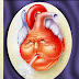 CONTAMINACIÓN Y ENFERMEDADES DEL CORAZÓN