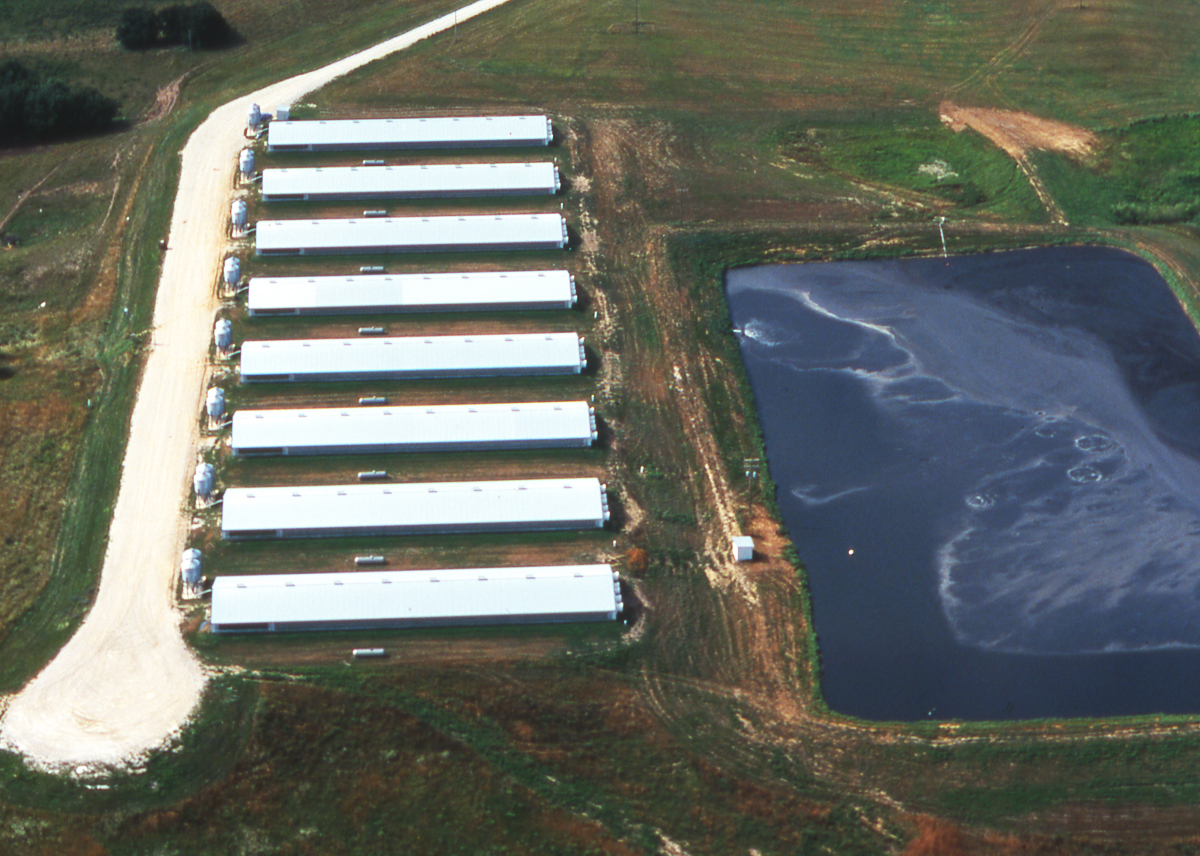 Dogs Run Farm® Hidden Subsidies for Concentrated Animal Feeding