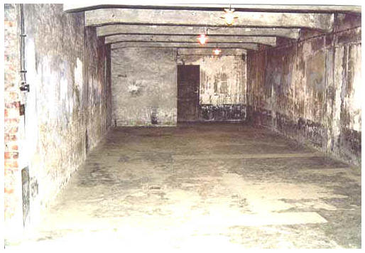 This Was Not A Gas Chamber gas chambers in holocaust. This Was Not A Gas Chamber