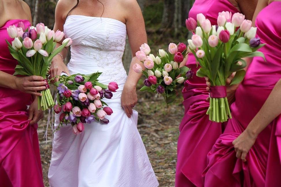 wedding tulips