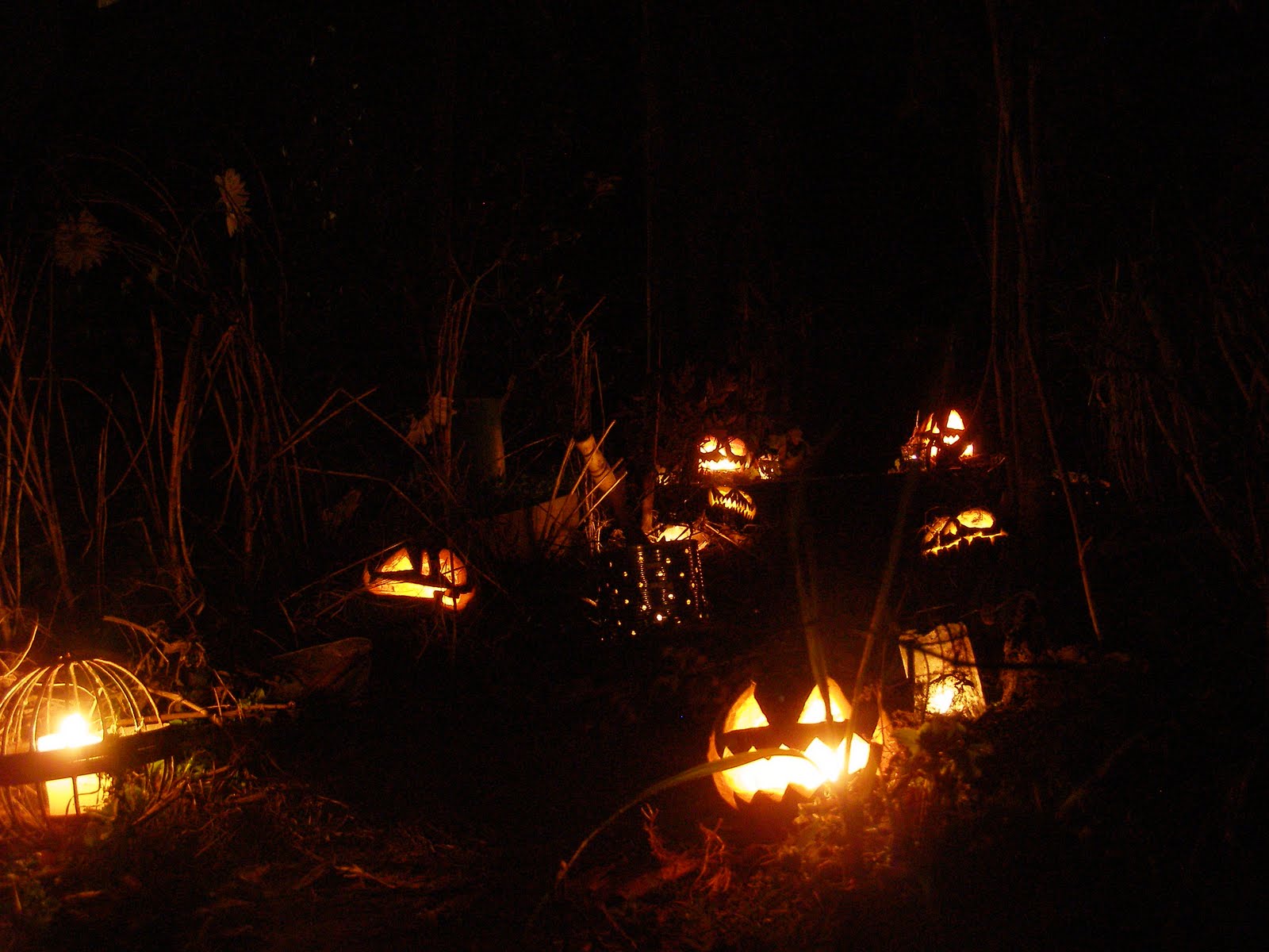 The Blog Halloween Has Come Early This Year