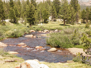 A creek just before getting to Tioga Pass