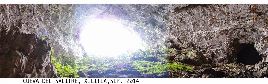 Cueva Del Salitre.