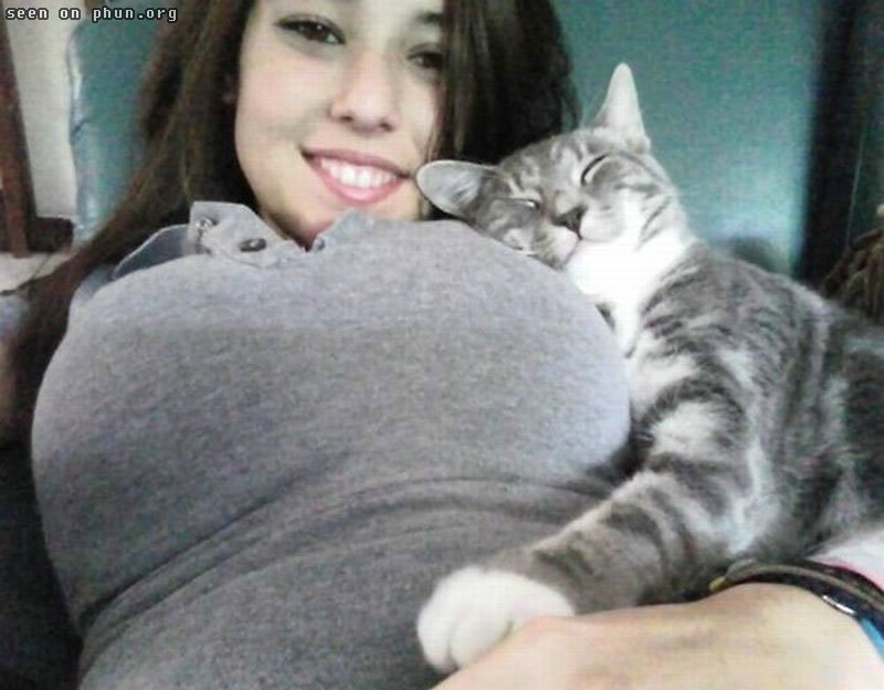 Cat+Hugs+Boobs.jpg