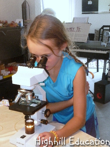 Highhill Homeschool: July 2013