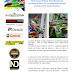 Paulo Miranda aos comandos de Proto 250 no CNE 2013