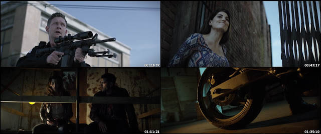 Dead Rising: Watchtower 2015