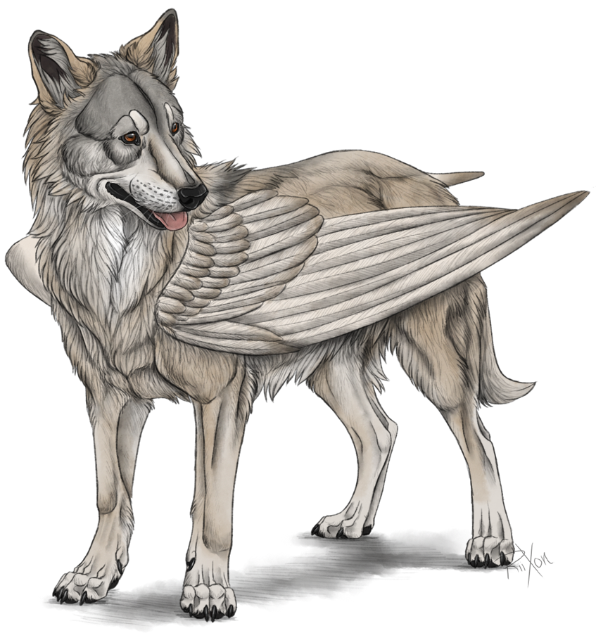 Ancient Greek Dog Names Ancient Greek Dog Names