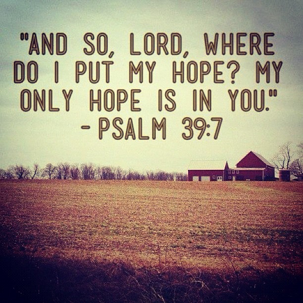 Strength Quotes From The Bible Fascinating Bible Strength Quotes Captivating Best 25 Strength Bible Quotes Strength Quotes From The Bible Amazing Bible Strength Quotes Captivating Best 25 Strength Bible Quotes