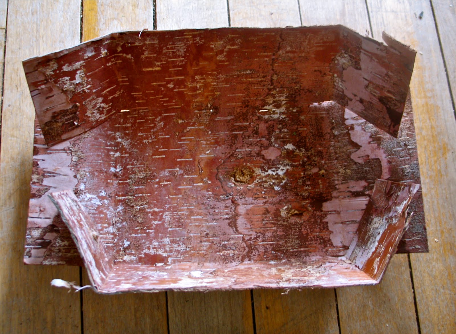 Twig and Toadstool Birch Bark Basket