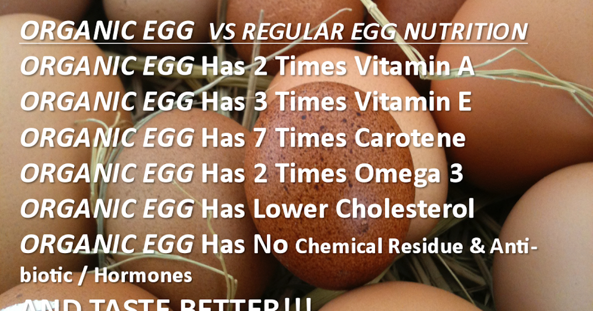 ORGANIC EGG VS REGULAR EGG NUTRITION คุณค่าทางโภชนาการ