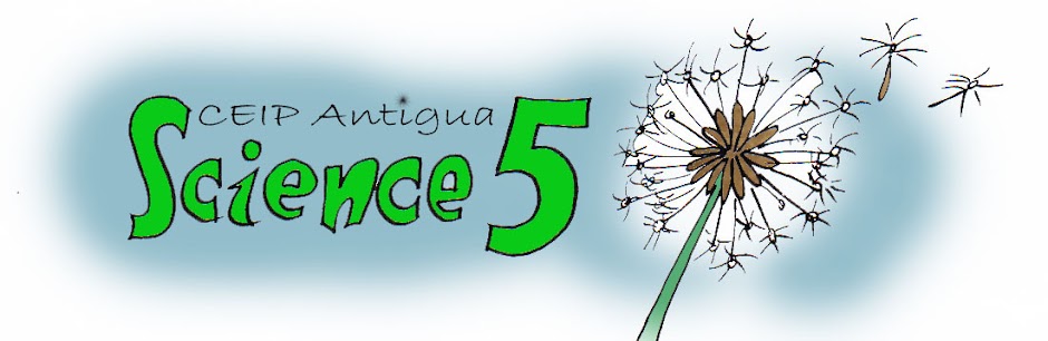 CEIP Antigua Science 5