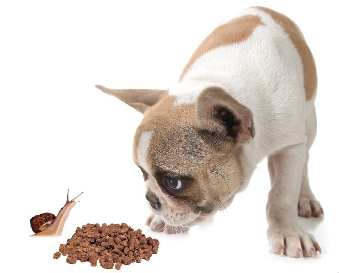 Ranch Veterinary Center Snail Bait Poisoning