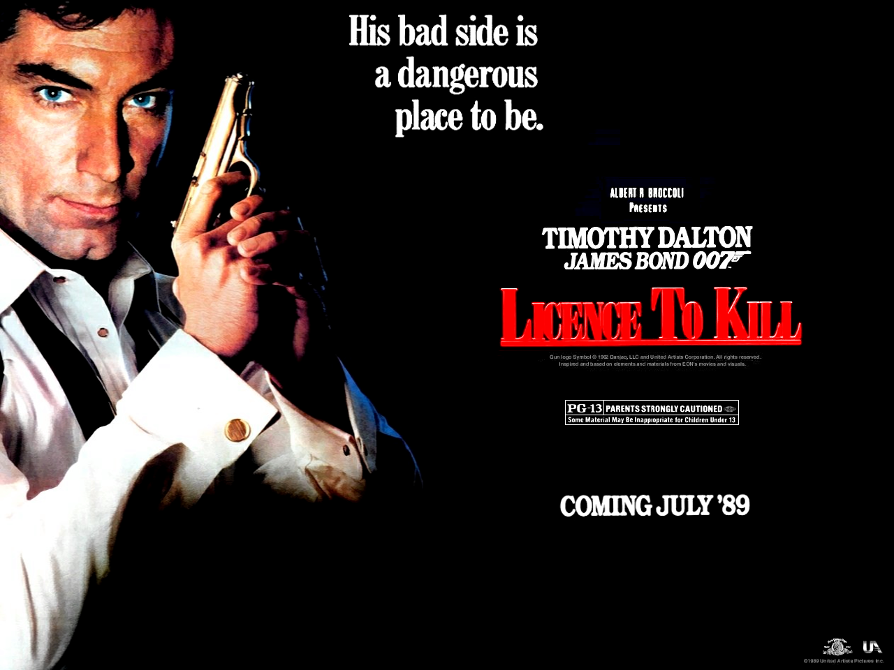 License to kill ends the brief