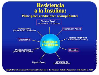 Perdiendo Kilos: Resistencia a la Insulina, Metformina y Perdiendo Kilos: Resistencia a la Insulina, Metformina y